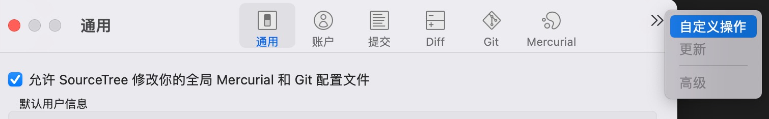 灰色的高级选项